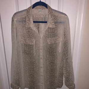 Sheer chic top